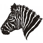 Wandtattoo Zebra
