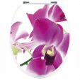 Aufkleber für Toilettendeckel Orchidee