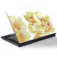 Laptop-Aufkleber Orchidee