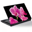 Laptop-Aufkleber Orchidee