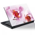 Laptop-Aufkleber Orchidee