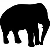 Tafelfolie Elefant
