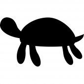 Tafelfolie Schildkröte