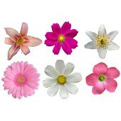 Wandsticker Blumen Set