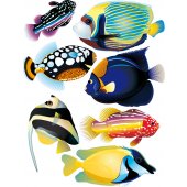 Wandsticker Fische Set