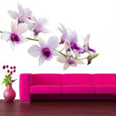 Wandsticker Orchidee