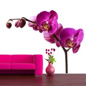 Wandsticker Orchidee