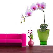 Wandsticker Orchidee