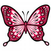 Wandsticker Schmetterling