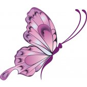 Wandsticker Schmetterling