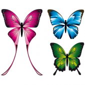 Wandsticker Schmetterling Set