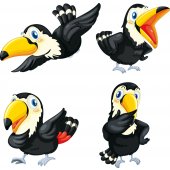 Wandsticker Vogel Set