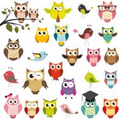 Wandsticker Vogel Set