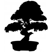 Wandtattoo Bonsai