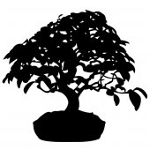 Wandtattoo Bonsai