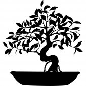 Wandtattoo Bonsai