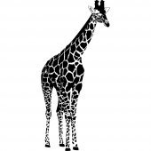 Wandtattoo Giraffe