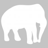 Wandtattoo Velleda weisse Tafel Elefant