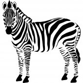 Wandtattoo Zebra